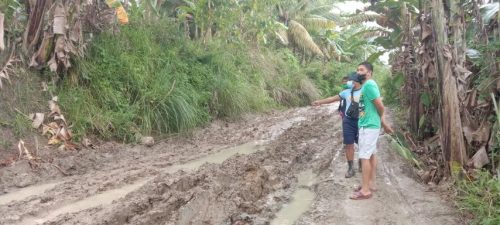 August 18, 2022 - Barangay Dominga, Calinan District, Davao City